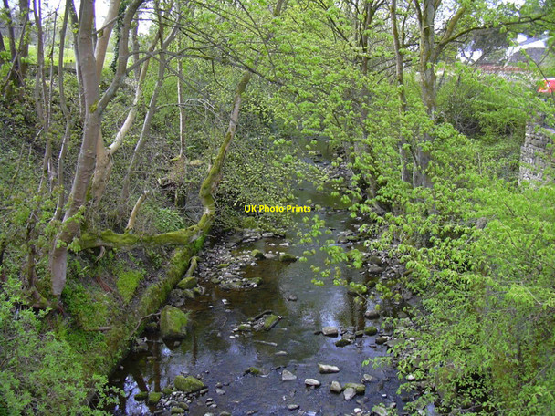 Photo 6"x4" Pendle Water looking upstream at Roughlee Barrowford c2010