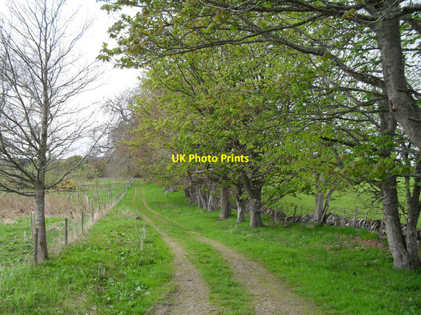 Photo 6"x4" Track from Uppat to Doll Uppat c2010