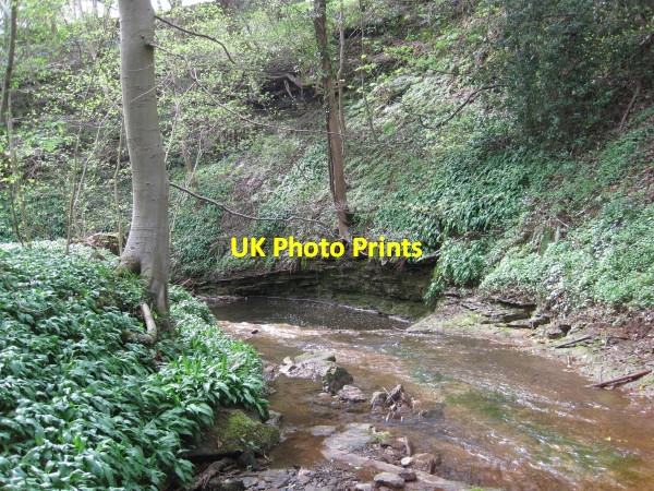 Photo 6"x4" Cor Burn below Aydon Castle Aydon c2010