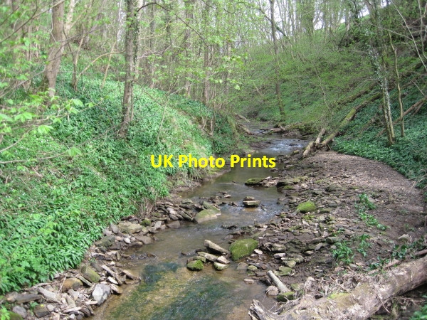 Photo 6"x4" Cor Burn below Aydon Castle Aydon c2010