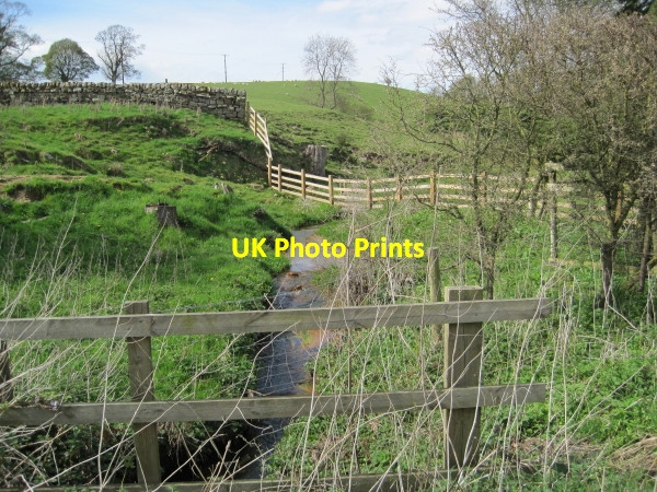 Photo 6"x4" Stagshawbank Burn near Halton Castle Halton\/NY9967 c2010