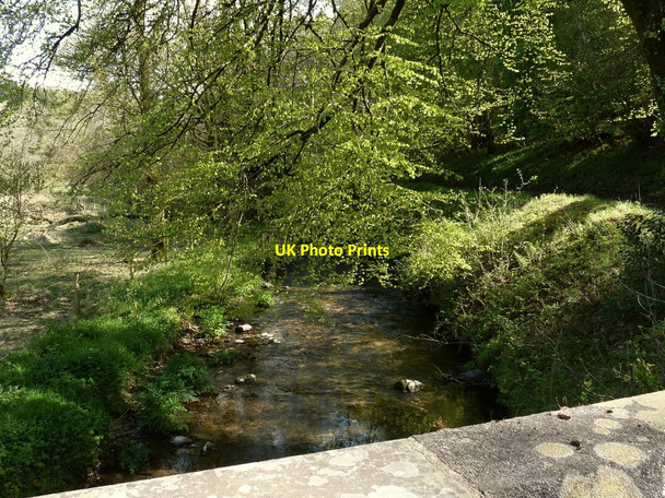 Photo 6"x4" The view downstream from Brockham Bridge on the River Yeo Arlington\/SS6140 c2010