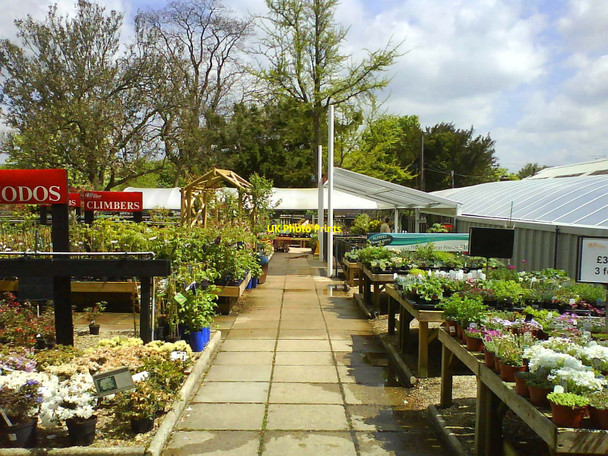 Photo 6"x4" Pathway through Hilliers Garden Centre Winchester c2010