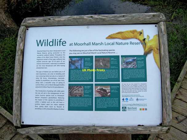 Photo 6"x4" Moorhall Nature Reserve information board, Stourport-on-Severn Stourport-on-Severn c2010