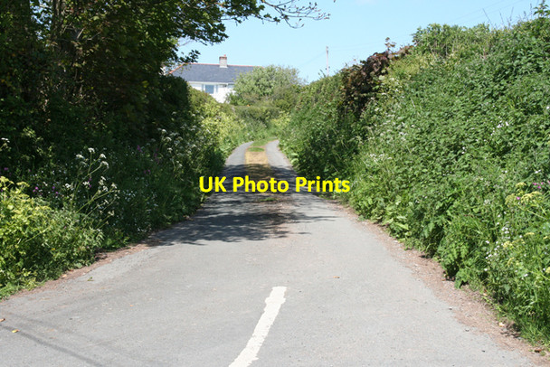 Photo 6"x4" Noss Mayo: lane to Rowden Court Bridgend\/SX5548 c2010