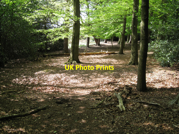 Photo 6"x4" Banks and ditches, Lower Nut Hurst, Sutton Park Tudor Hill c2010