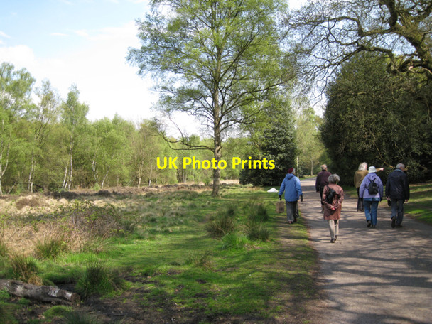 Photo 6"x4" Brook valley and drive, Sutton Park Tudor Hill c2010