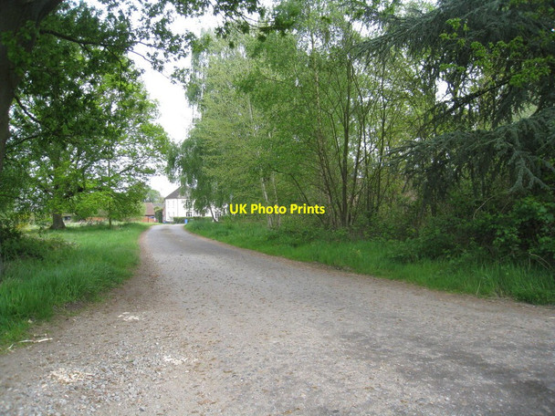 Photo 6"x4" Lyde Green Lyde Green\/SU7057 c2010