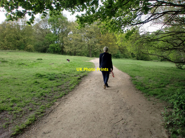 Photo 6"x4" Walking the Dog, Hampstead Heath, London Hampstead\/TQ2685 c2010