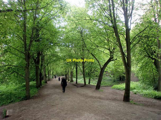 Photo 6"x4" Footpath, Hampstead Heath, London Hampstead\/TQ2685 c2010