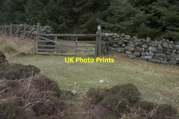 Photo 6"x4" Bridleway entrance into Wintergill Plantation Street\/NZ7304 c2010