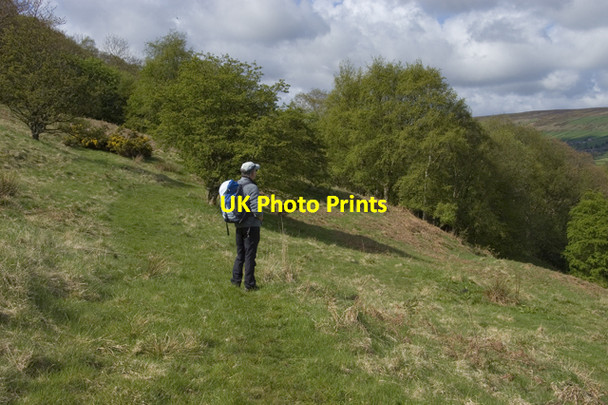 Photo 6"x4" Bridleway to Bank House Farm Glaisdale Glaisdale\/NZ7705 c2010