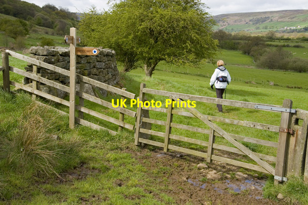 Photo 6"x4" Bridleway in Glaisdale Glaisdale\/NZ7705 c2010