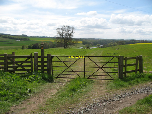Photo 6"x4" Farmgate and Footpath Sign Manorhill c2010