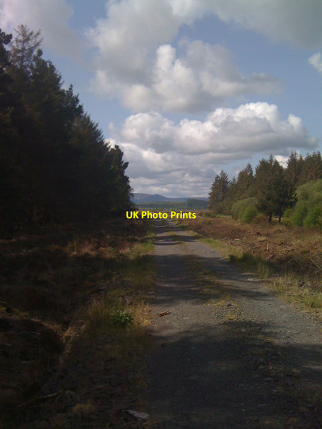 Photo 6"x4" Holmhead Moss forestry road Mouswald c2010