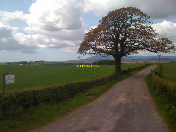 Photo 6"x4" Entrance to North Bowerhouse Farm Mouswald c2010