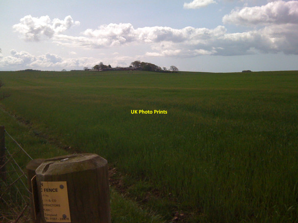 Photo 6"x4" Field at Longbridgemuir Mouswald c2010