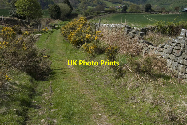 Photo 6"x4" Bridleway near Swang Farm Key Green\/NZ8004 c2010