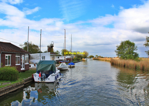 Photo 6"x4" River Thurne view Damgate\/TG4519 c2010