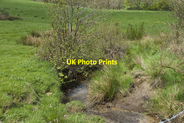 Photo 6"x4" Sidney Beck, Great Fryup Dale Street\/NZ7304 c2010