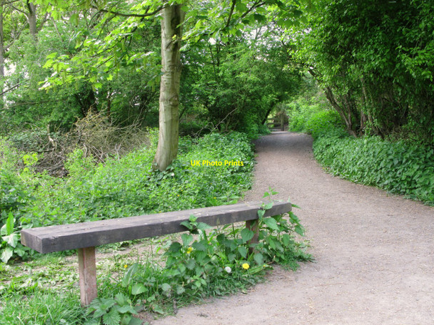 Photo 6"x4" Path at Greenslate Water Meadow Billinge c2010