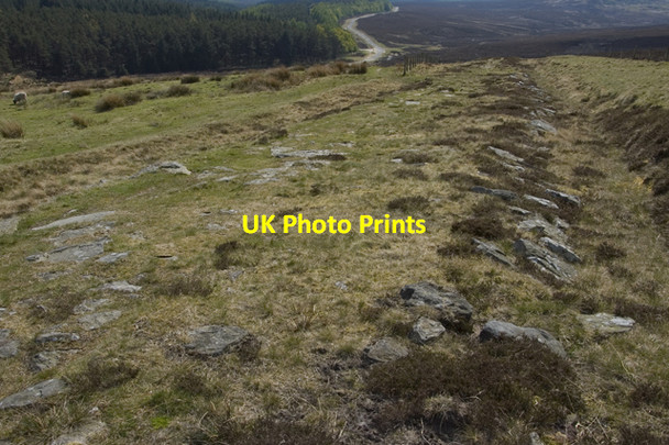 Photo 6"x4" Wheeldale Moor Roman Road Blawath Beck c2010