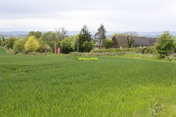 Photo 6"x4" Arable fields near Little Burlton Elton's Marsh c2010