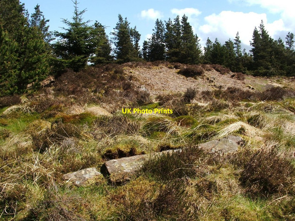 Photo 6"x4" Shiels of Gartlea: possible fallen standing stone Gallangad Burn\/NS4580 c2010