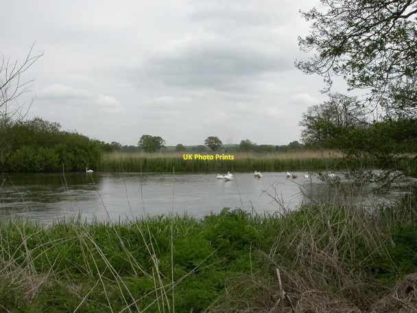 Photo 6"x4" Wattons Ford, swans Bisterne c2010