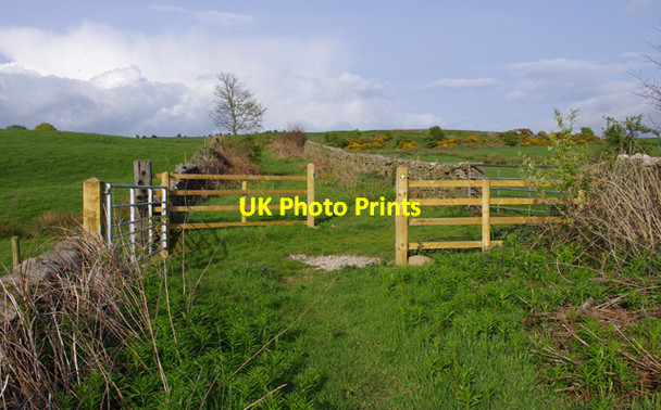Photo 6"x4" Green Hill Lane Over Kellet c2010