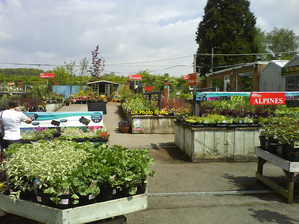 Photo 6"x4" Walkways at Hilliers Garden Centre Hemel Hempstead c2010