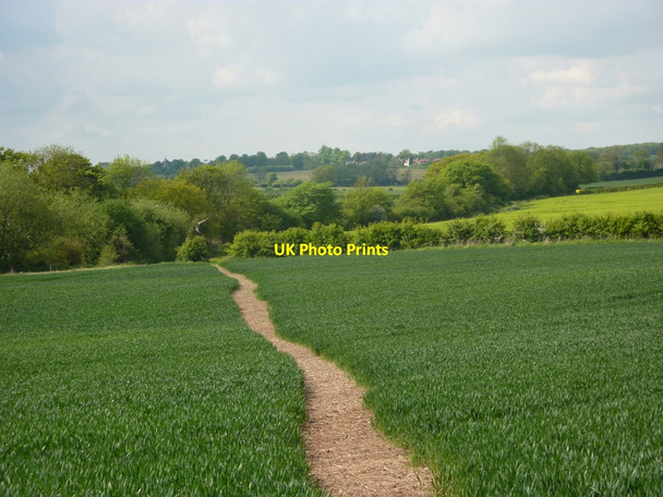 Photo 6"x4" Footpath towards Grove Headon\/SK7477 c2010