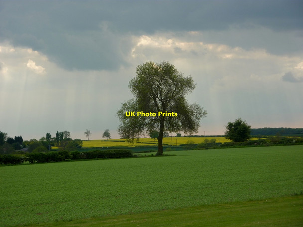 Photo 6"x4" Farmland between Headon and Upton Upton\/SK7476 c2010