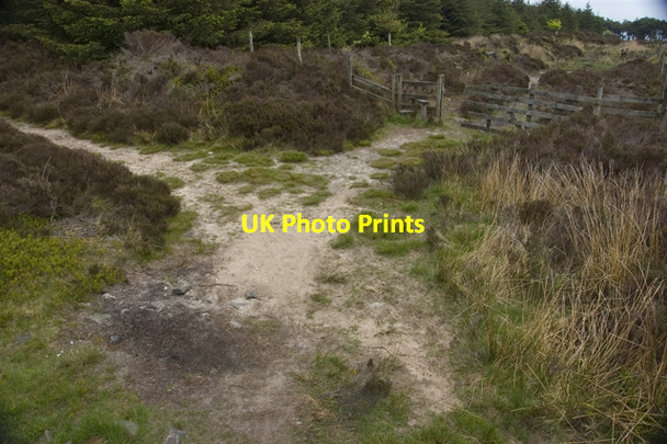 Photo 6"x4" Footpath junction on Longridge Fell New Row\/SD6438 c2010