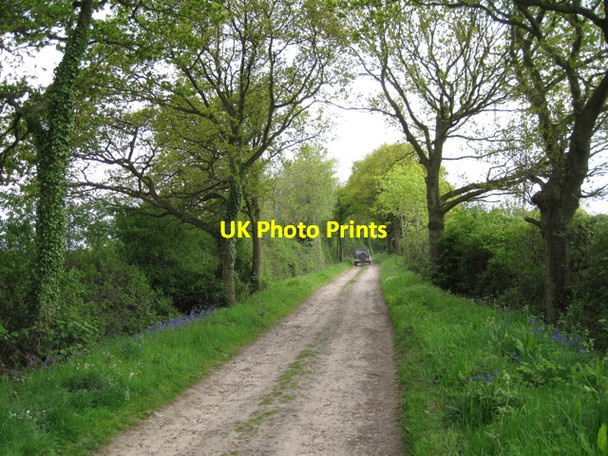 Photo 6"x4" Unclassified county road to Bushwood Copt Green c2010
