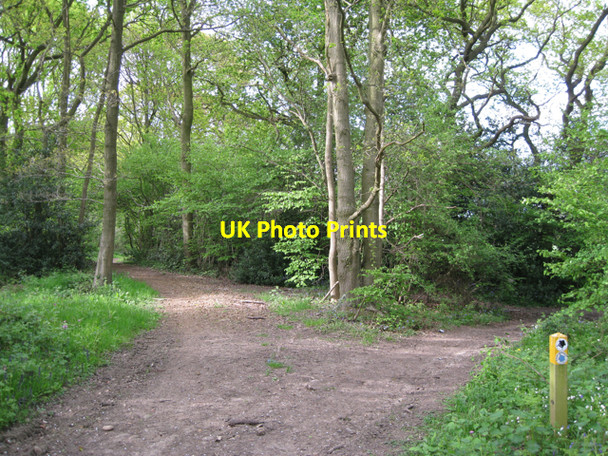 Photo 6"x4" Unclassified county road meets Dicks Lane Kingswood\/SP1871 c2010