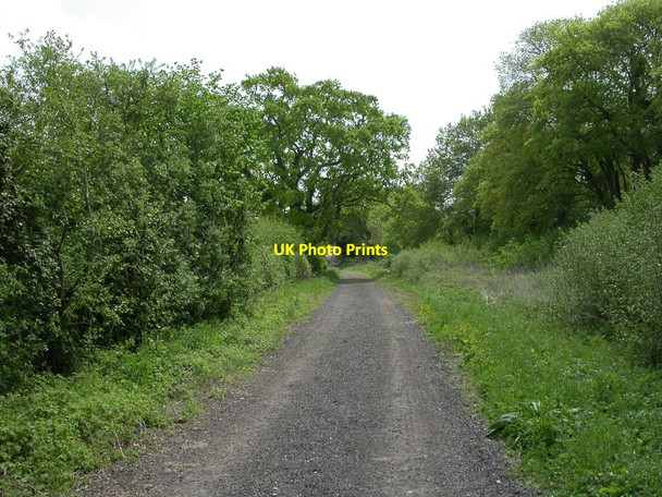 Photo 6"x4" Whitsbury, farm road Whitsbury c2010