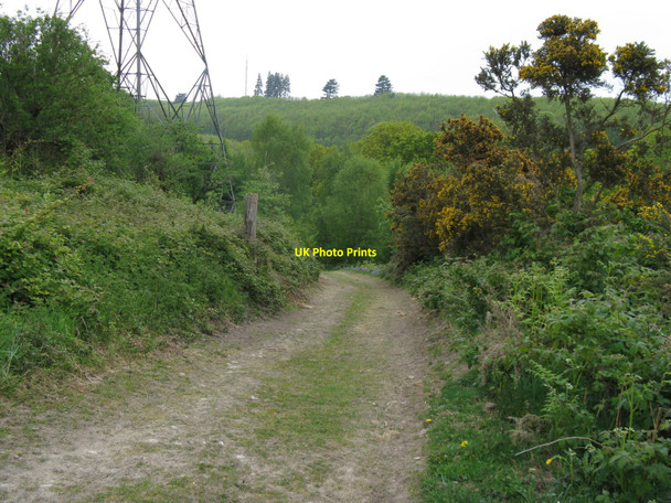 Photo 6"x4" Bridleway to Hoe Hill Leggatt Hill c2010