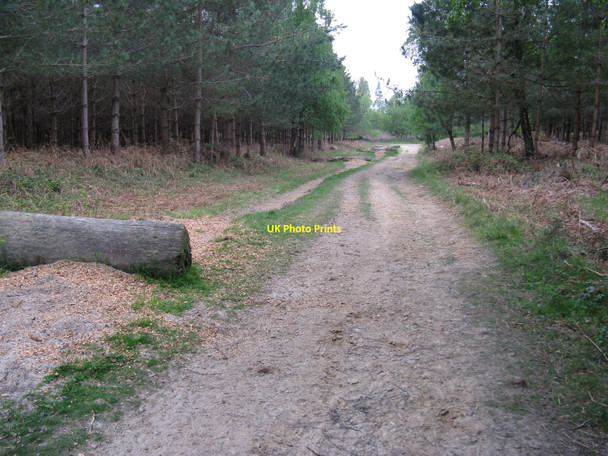 Photo 6"x4" Horse jumps alongside bridleway in Grevatt's Common Bexleyhill c2010