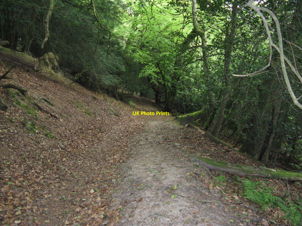 Photo 6"x4" Footpath to Bexleyhill Bexleyhill c2010