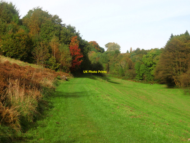Photo 6"x4" Path to the Ski Slope in Autumn Pontypool\/Pont-y-pwl c2009