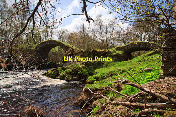 Photo 6"x4" The Old Bridge of Livet Glenlivet c2010