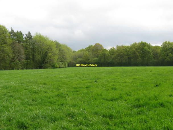 Photo 6"x4" Lush green fields on path to Lickfold Bexleyhill c2010