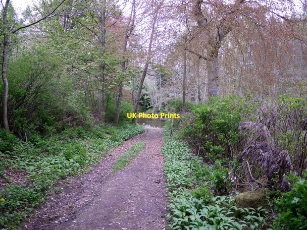 Photo 6"x4" Track to the ford east of Harbottle village Harbottle c2010