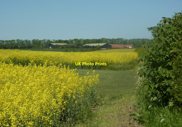 Photo 6"x4" Footpath north of Wood Lane Little Gringley c2010
