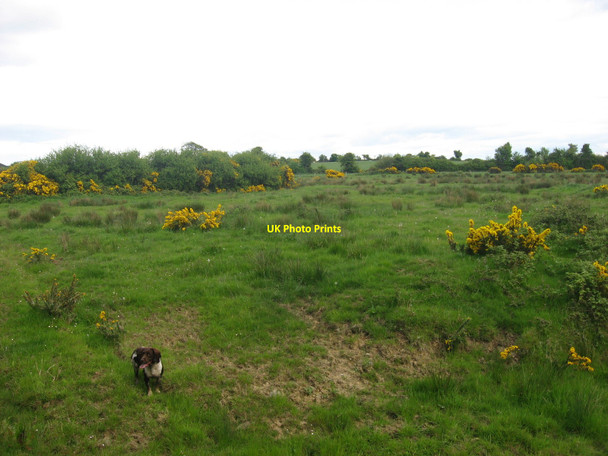 Photo 6"x4" Field at Commons, Balscaddan, Co. Dublin Balbriggan c2010