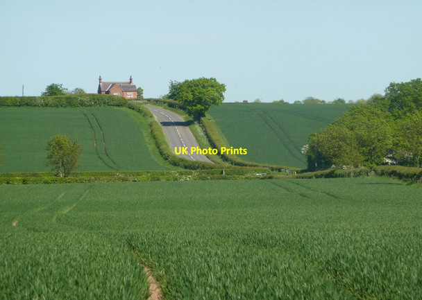 Photo 6"x4" Fields towards Woodbeck Woodbeck c2010
