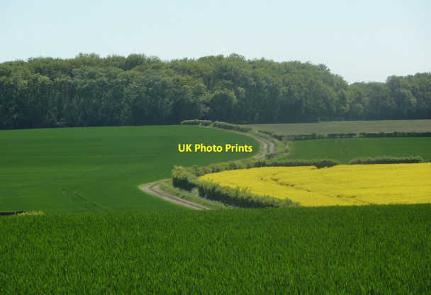 Photo 6"x4" Fields and track towards Crow Holt Grove\/SK7379 c2010