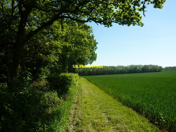 Photo 6"x4" By the edge of Treswell Wood Grove\/SK7379 c2010