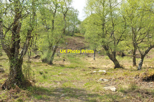 Photo 6"x4" Hill track north of Loch Laggan Ardverikie c2010